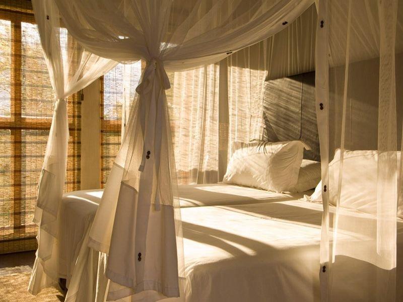 Divava Okavango Resort And Spa Bagani Exterior photo
